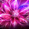 amy_rodrian